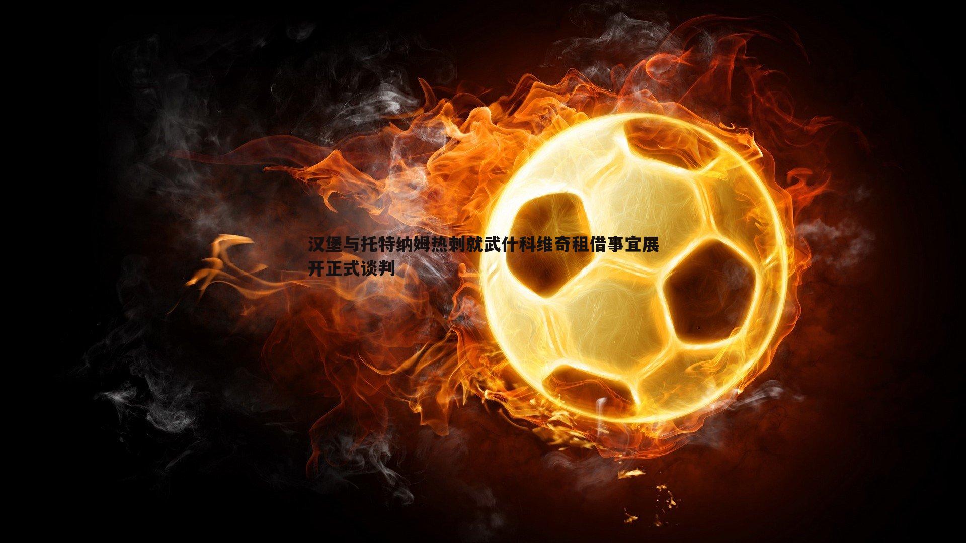 B体育-汉堡与托特纳姆热刺就武什科维奇租借事宜展开正式谈判