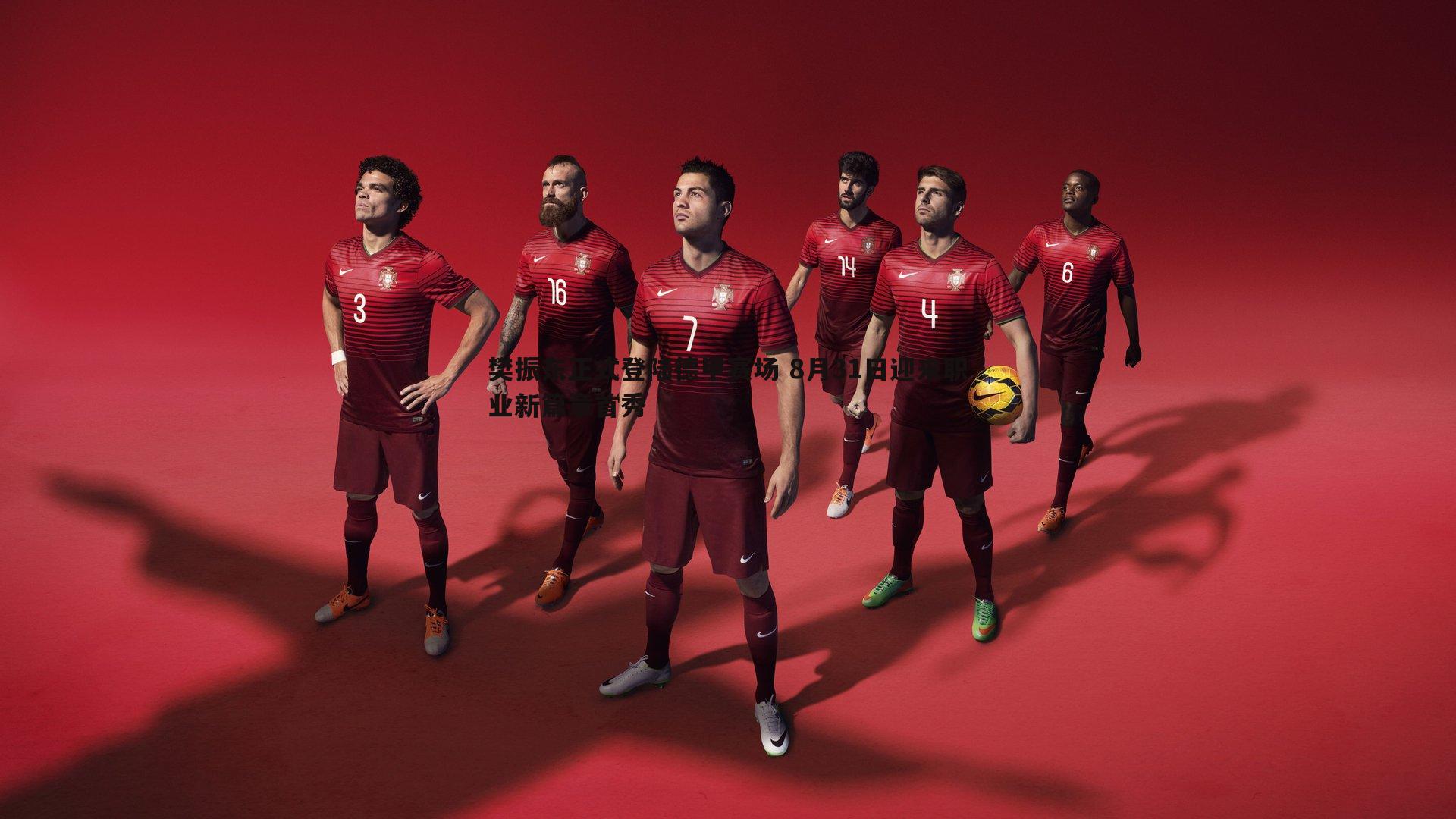 樊振东正式登陆德甲赛场 8月31日迎来职业新篇章首秀